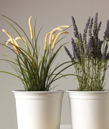 Rust-Oleum Direct to Plastic 400ml Aerosol