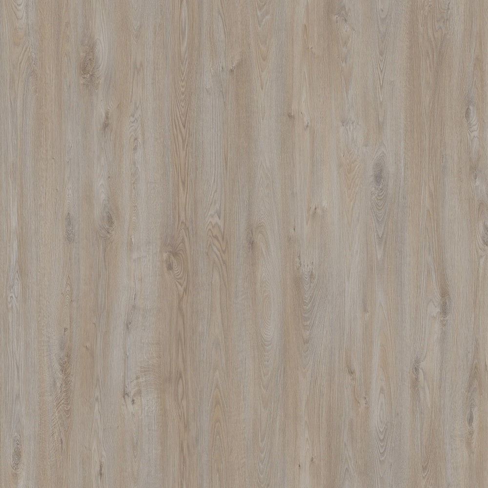 Laminate Flooring PRK914 8mm AC4/32 AGT Logan Effect V4