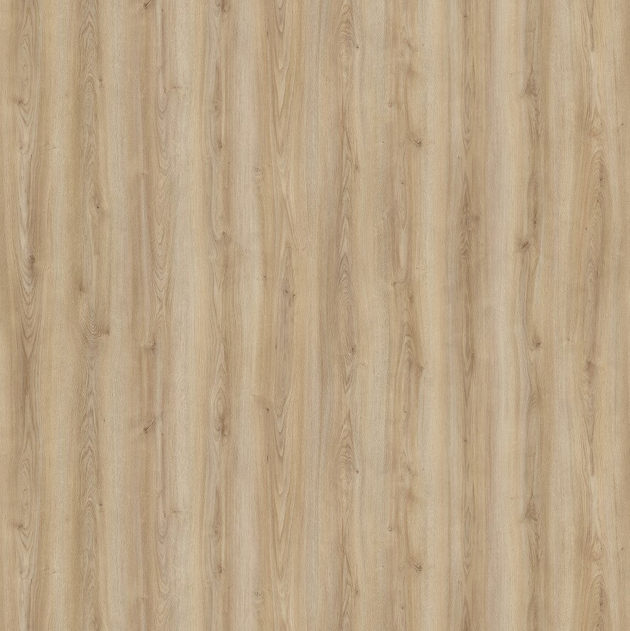 Laminate Flooring Kaindl K2241 8mm AC5/33, Oak Cordoba Crema, Aqualine Co V4