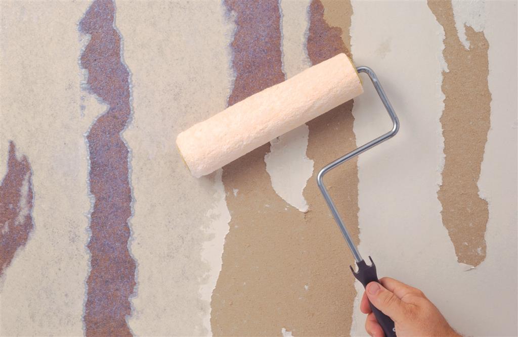 Zinsser Gardz 1L — детайл на етикета и спецификации