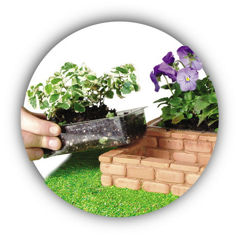 Teifoc Малка градина