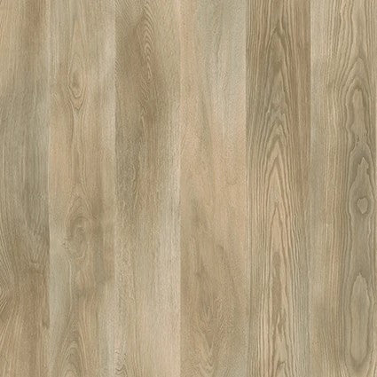 Laminate Flooring PRK922 8mm AC4/32 Labrador Marco Polo V4