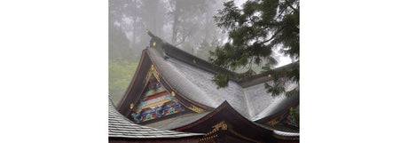 Майсторство при изработката на покриви на едни от най-добрите в света.