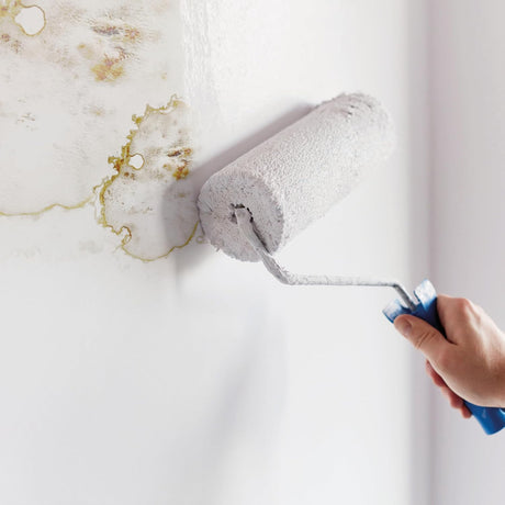 Боя против мухъл