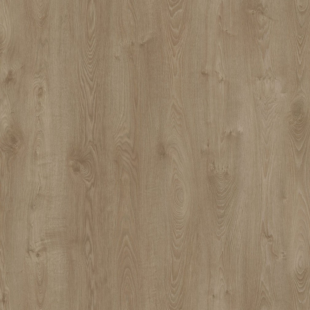Laminate flooring PRK912 8mm AC4/32 AGT Solaro Effect V4