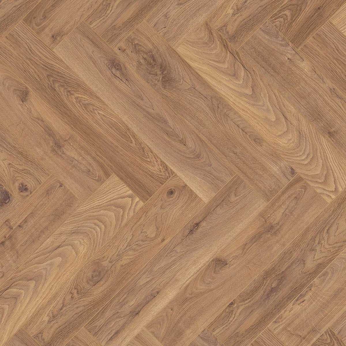 Laminate flooring Kaindl 32742-8MM.AC5/32, V4-groove, Oak Bamburgh HO Houston, Mr