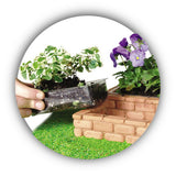 Teifoc Малка градина